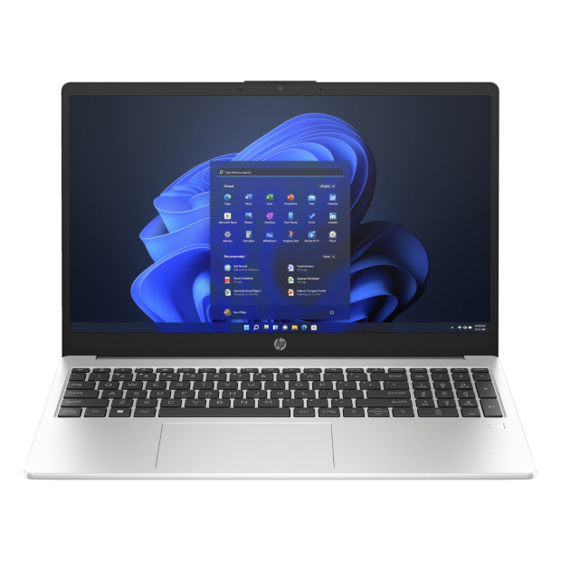 Ноутбук HP 250 G10 (AL0C0AT) 15.6